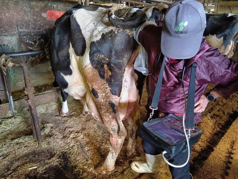 HS-1600V 【ドプラ対応機種】｜メディカル製品｜製品情報｜本多電子